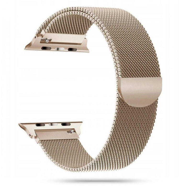 Tech-Protect TECH-PROTECT MILANESEBAND APPLE WATCH 1/2/3/4/5