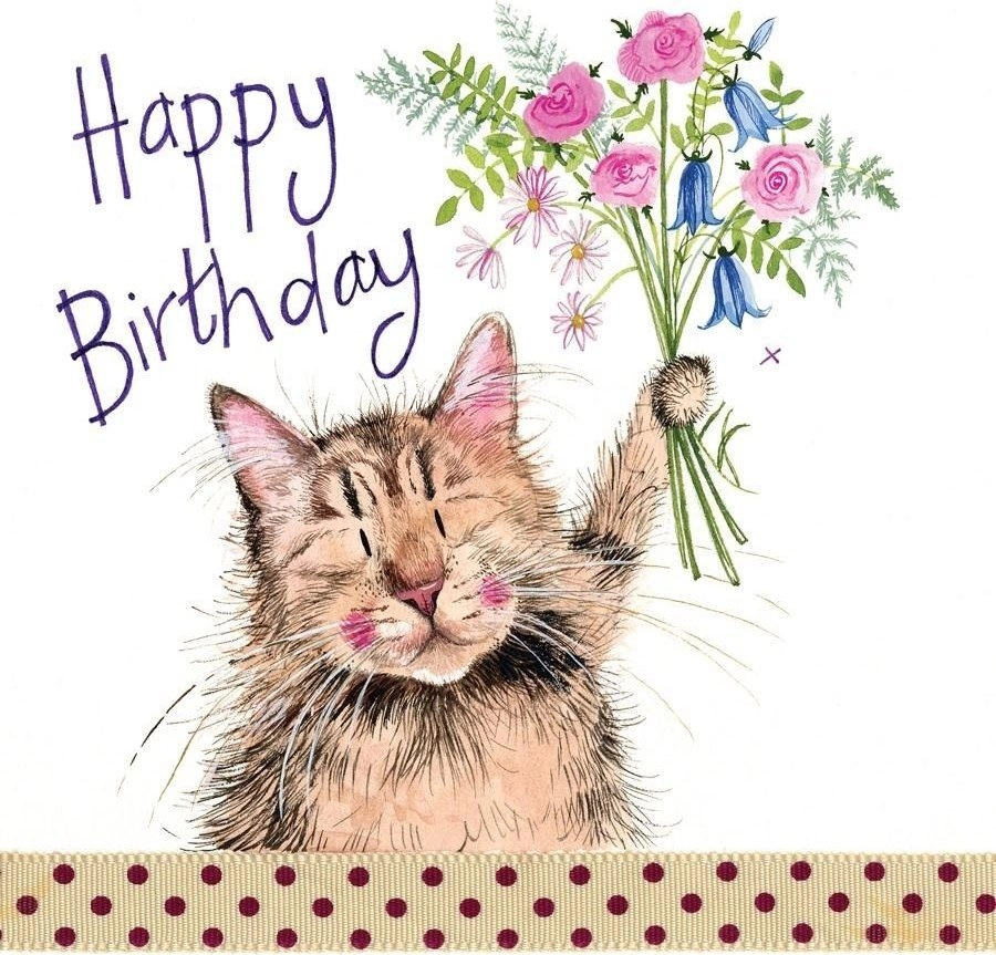 Birthday Pass S162 Cat with a