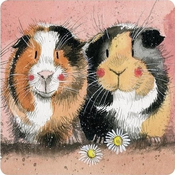 C128 Guinea pigs cup coaster 5060108709811