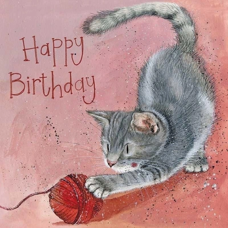 Pass AC824 Birthday Pixie Cat 5060108718912