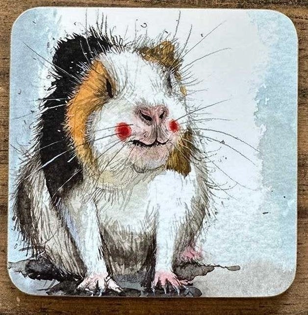 C240 Guinea pig cup pad 5063187005294