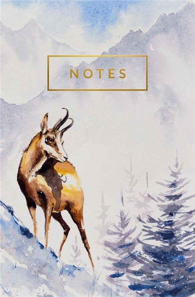 Notebook Mountains 539972 5907622694813