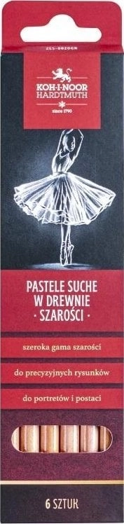 Dry pastels in wood 8820 gray