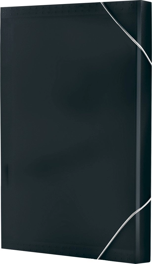 A4 accordion folder with elastic band
