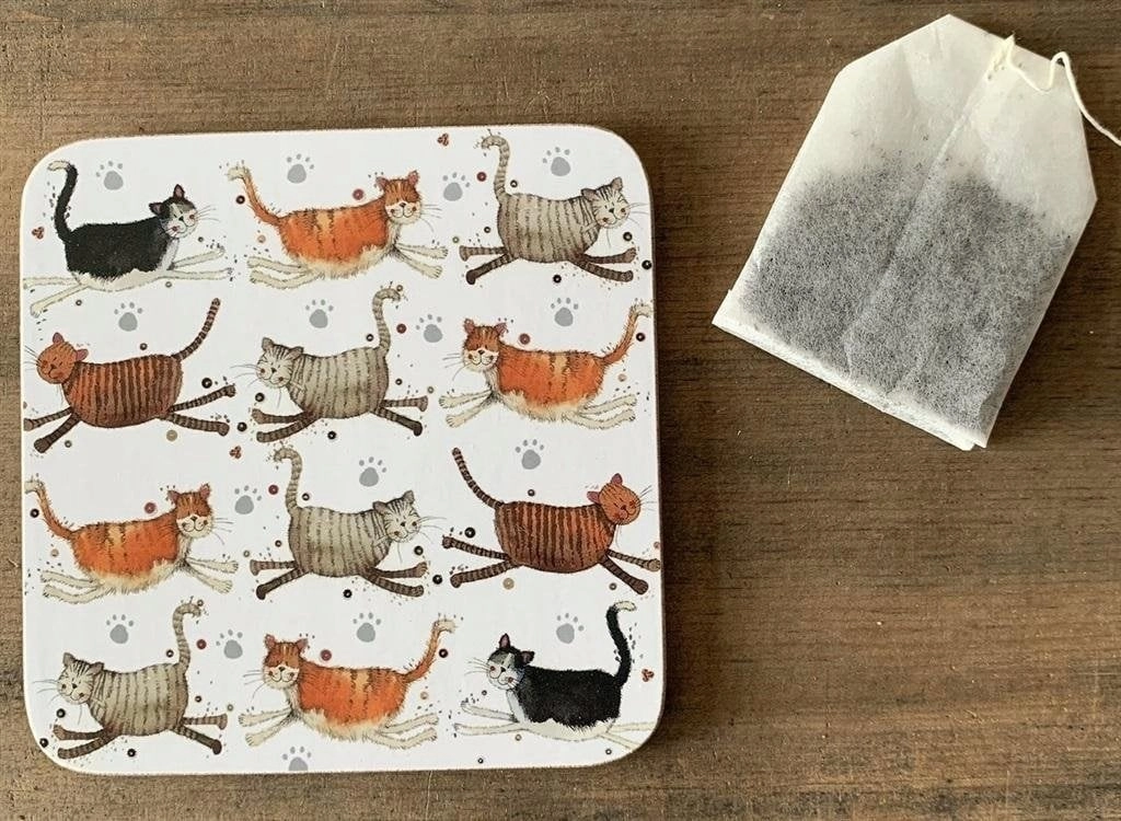 Cup pad C172 Cats 5060108723992 619392