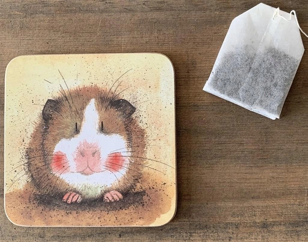 C53 Guinea Pig Gilbert mug pad