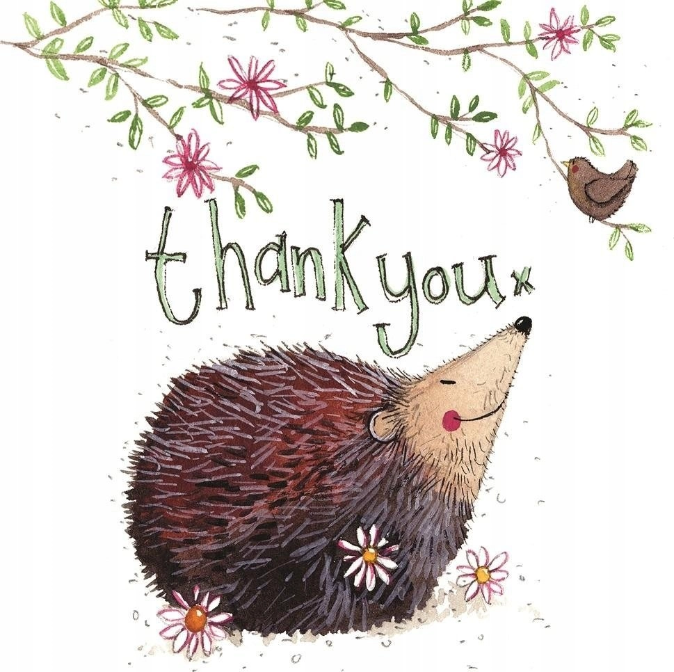 Thank you pass S344 Hedgehog 5060108711661