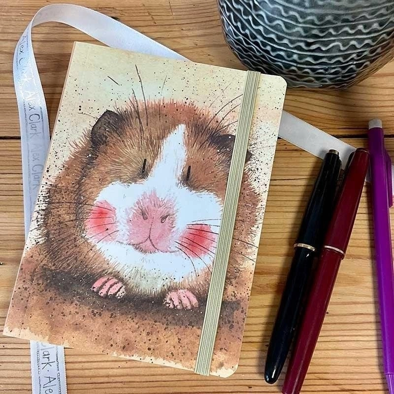 Notebook with eraser A6 SCN21 Guinea