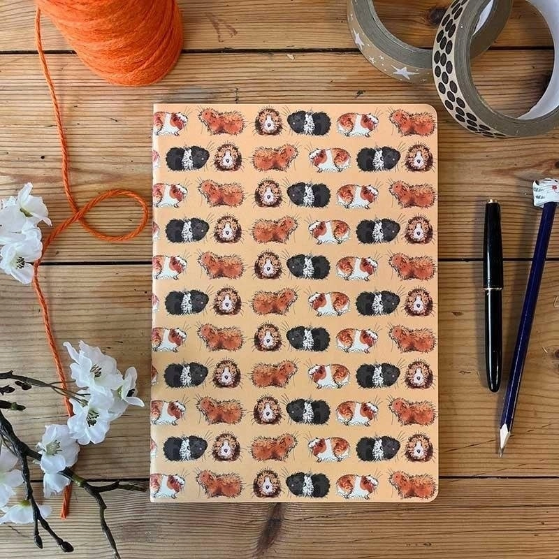 Notebook B5/40K line SNL13 Guinea pigs