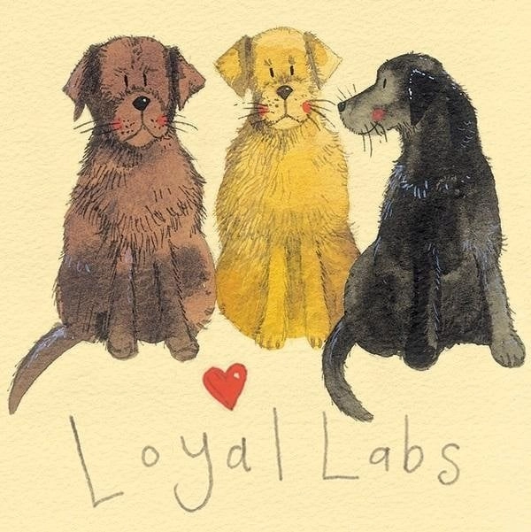 Magnet FM15 Labradors 5060108689458 623936