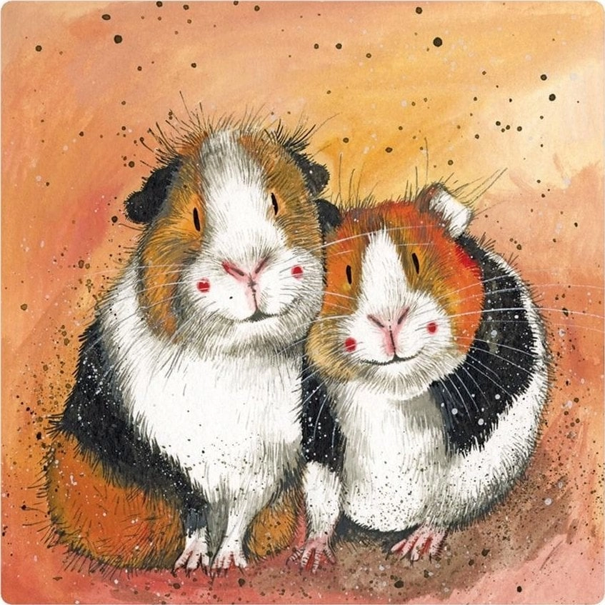 Magnet FM205 Guinea pigs 5060108717311 623953