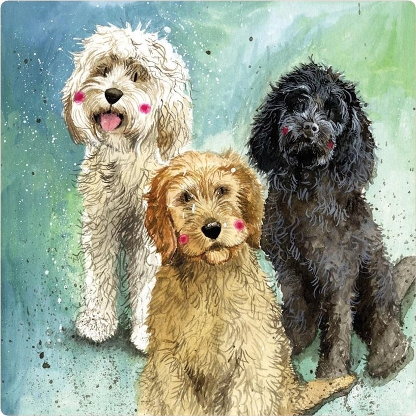 Magnet FM229 Cockapoo dogs 5060108717557 623969