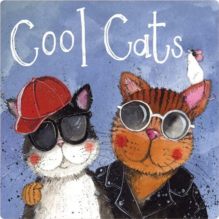 Magnes FM221 Cool cats 5060108717472 623976