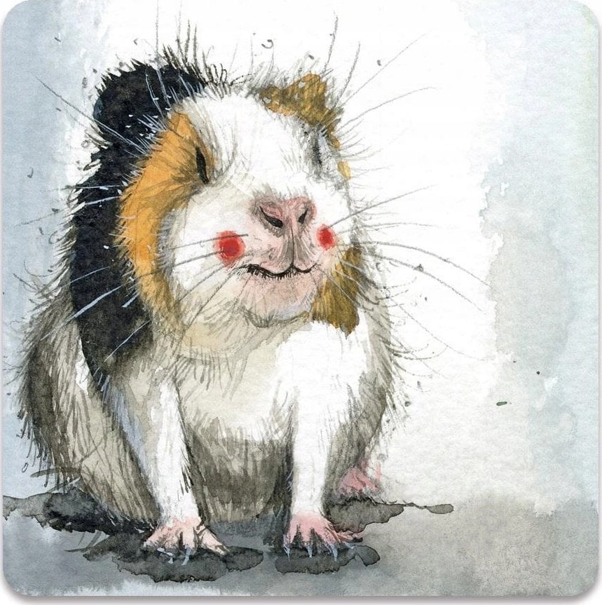 Magnet FM248 Guinea pig 5063187000886 623996