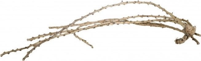 Terra Natura Root Liana Finish 60-100