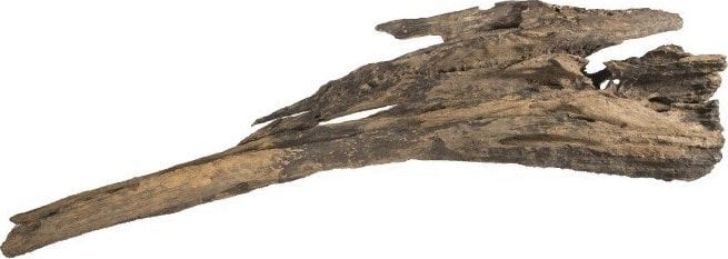 Root Dragonwood M-L 15-50cm TN-42057 5904479420572