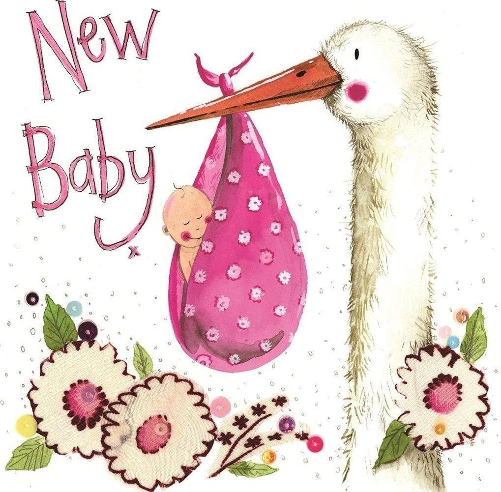 Birth pass S291 Baby Girl Stork