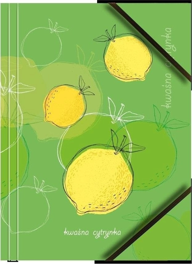 A4 cardboard folder with corner elastic