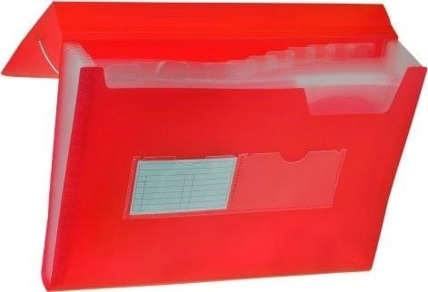 Tetis TETIS PP accordion folder with