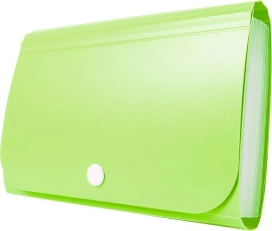 Teczka - Mini organizer harmonijkowy PP