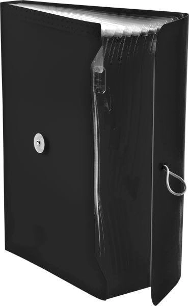 A4 PP accordion folder with elastic