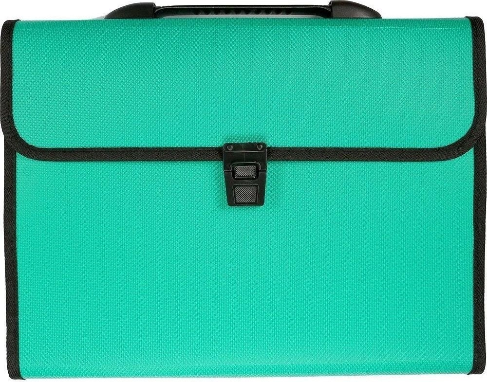 Titanum A4 folders with compartments (TR12GR)