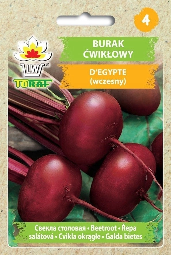 Toraf Nasiona warzyw  Burak Ćwikłowy D````Egypte
