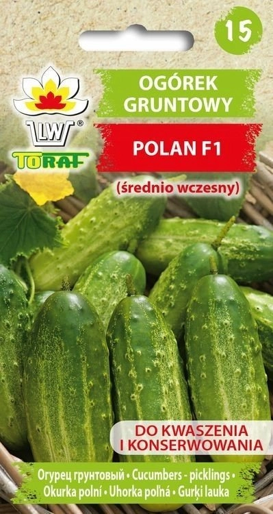 Toraf Nasiona warzyw Ogórek Polan F1