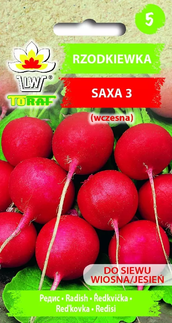 Toraf Nasiona warzyw Rzodkiewka Saxa 3