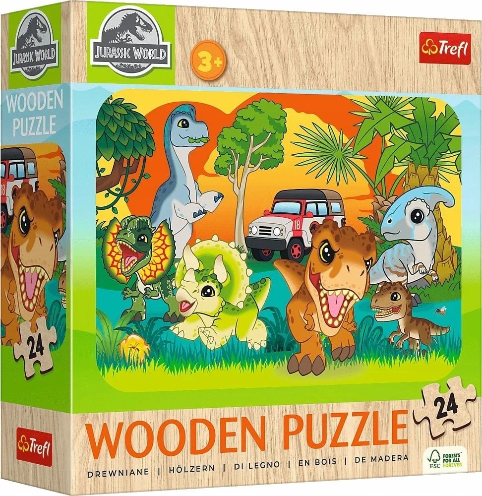 Wooden puzzles 24 Get to know