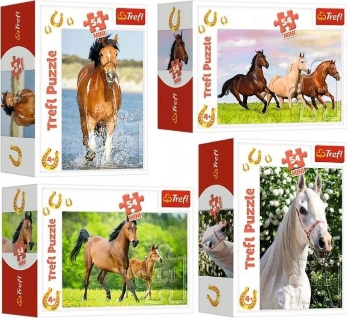 Trefl Puzzle mini 54 elementy. Świat