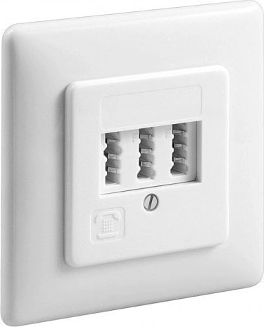 Triton Flush-mounted box 3 x TAE-NFF
