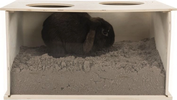Trixie Basen do piasku kopania królika