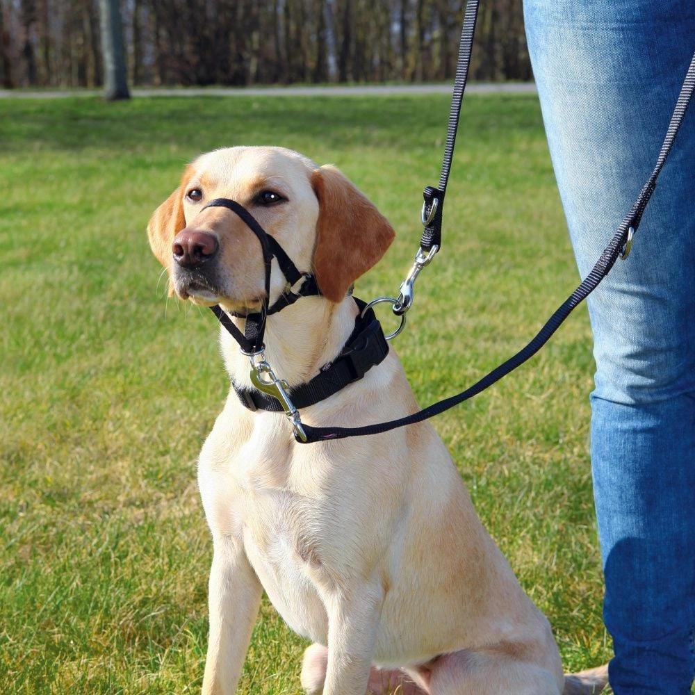 Trixie Top Trainer training harness -