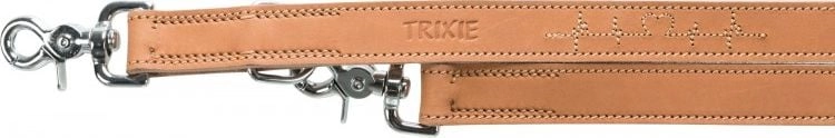 Trixie Rustic Heartbeat adjustable dog leash