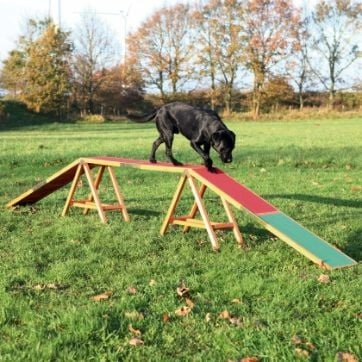 Trixie `Dog Activity Agility` dog bridge