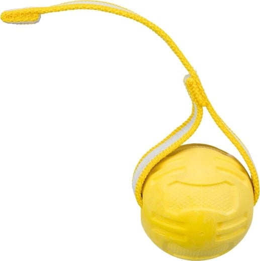 Trixie Sporting ball on the strap