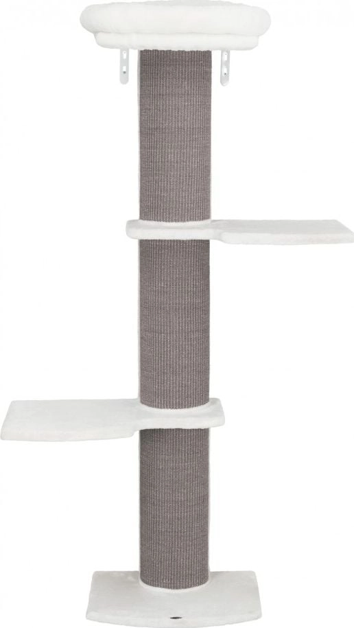 Trixie Acadia standing scratching post  wall