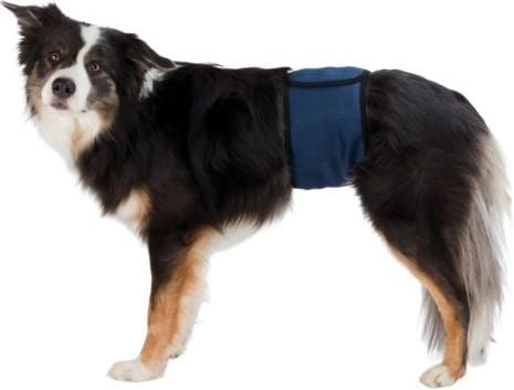 Trixie PAMPAS FOR DOGS  NAVY BLUE