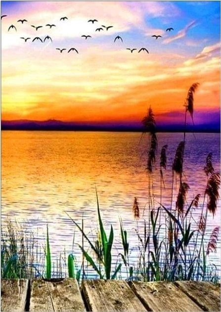 Painting by numbers - 40x50cm Sunset