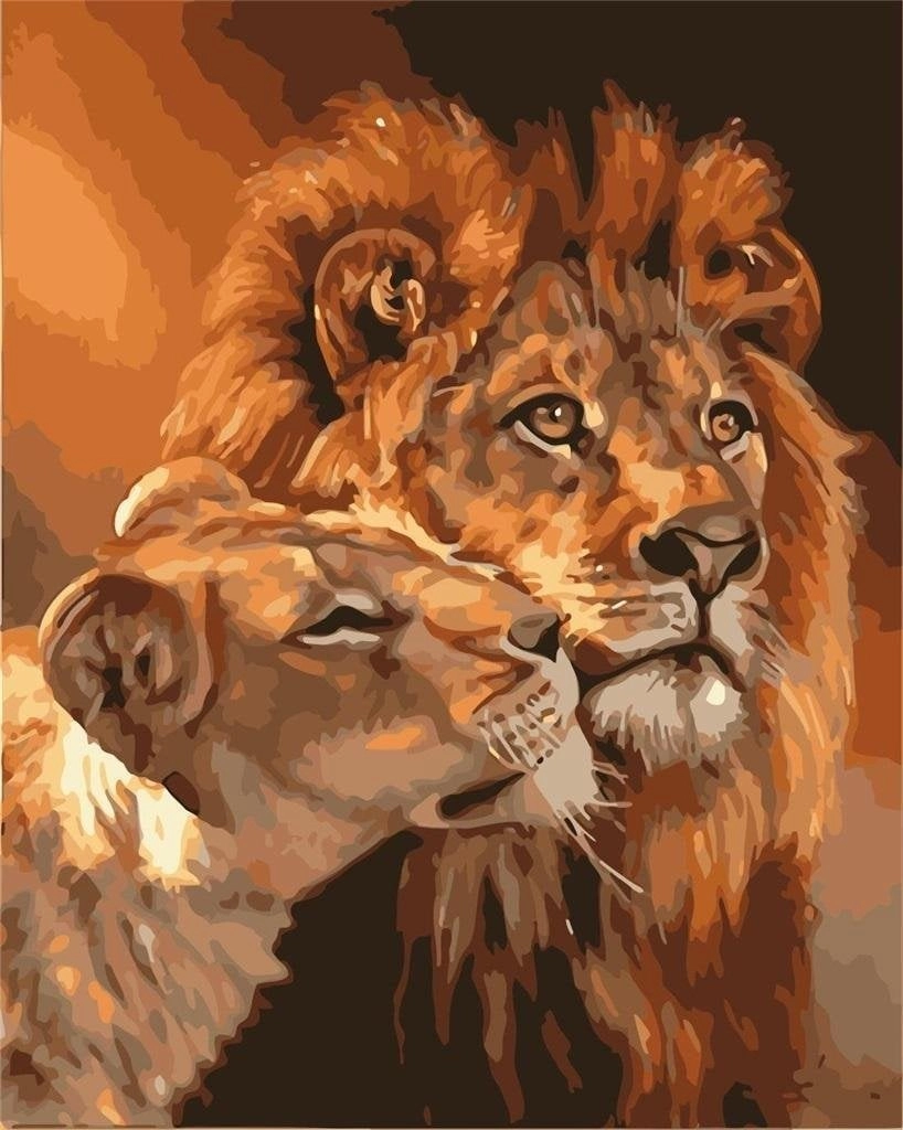 Painting by numbers - 40x50cm Lions