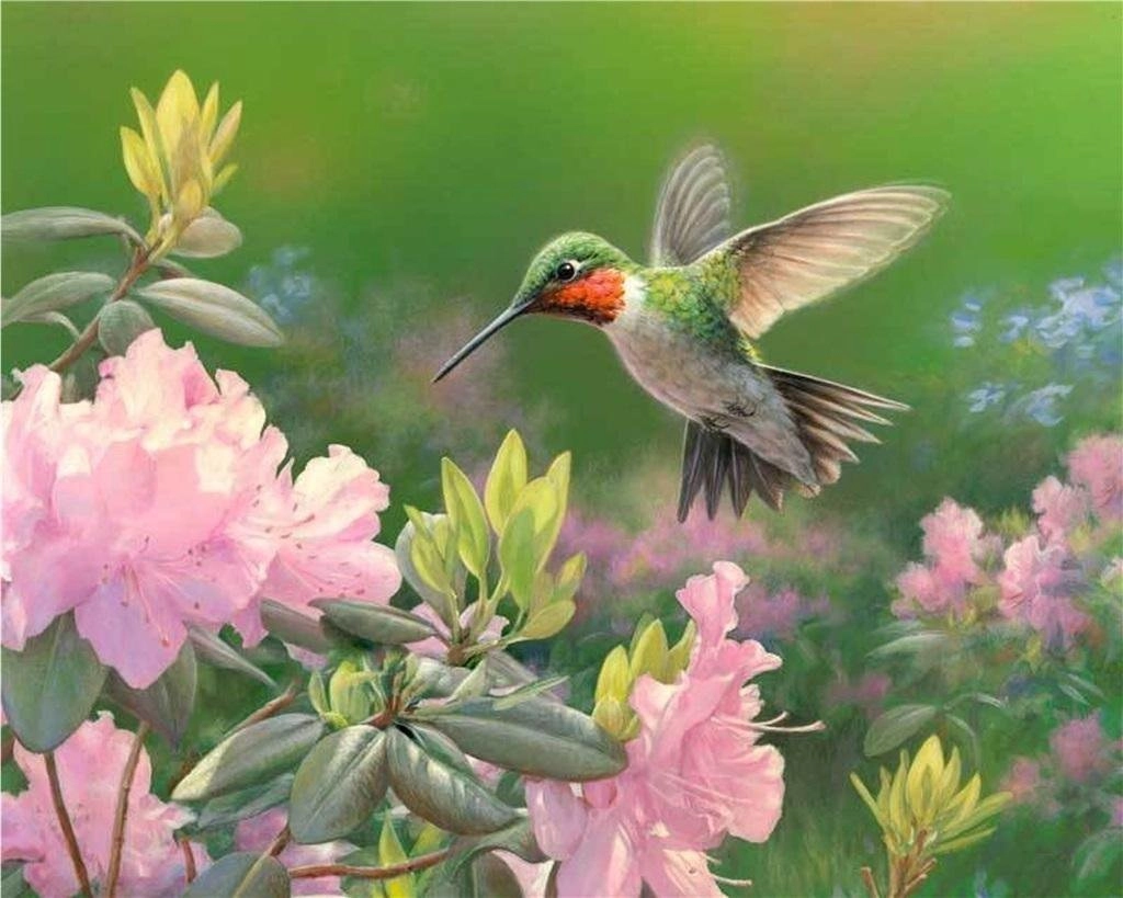 Painting by numbers - 40x50cm Hummingbird