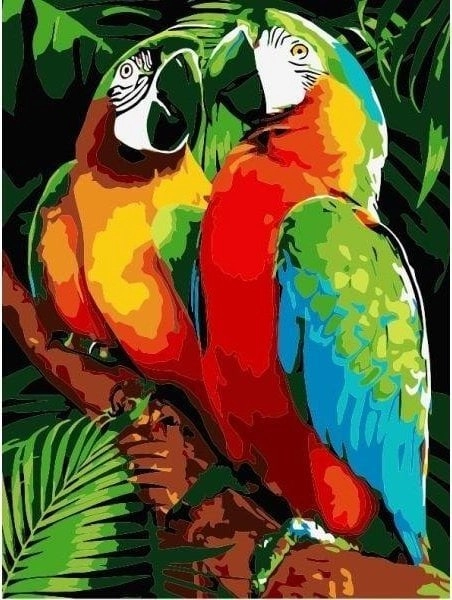 Painting by numbers - 30x40cm Parrots