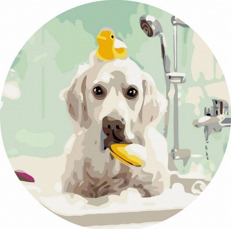 Round painting by numbers - Dog