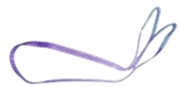 Target Ladungssicherung 90501 Lifting strap Working