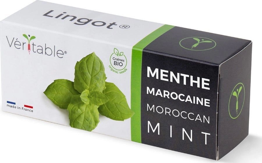Veritable Veritable Lingot Marokańska mięta -