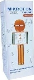 WK microphone JYWK369-1 gold toy microphone