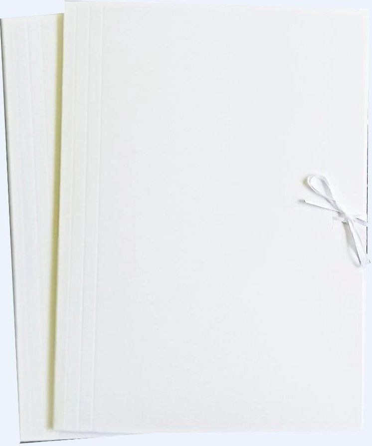 Vector A4 white binder folder (10