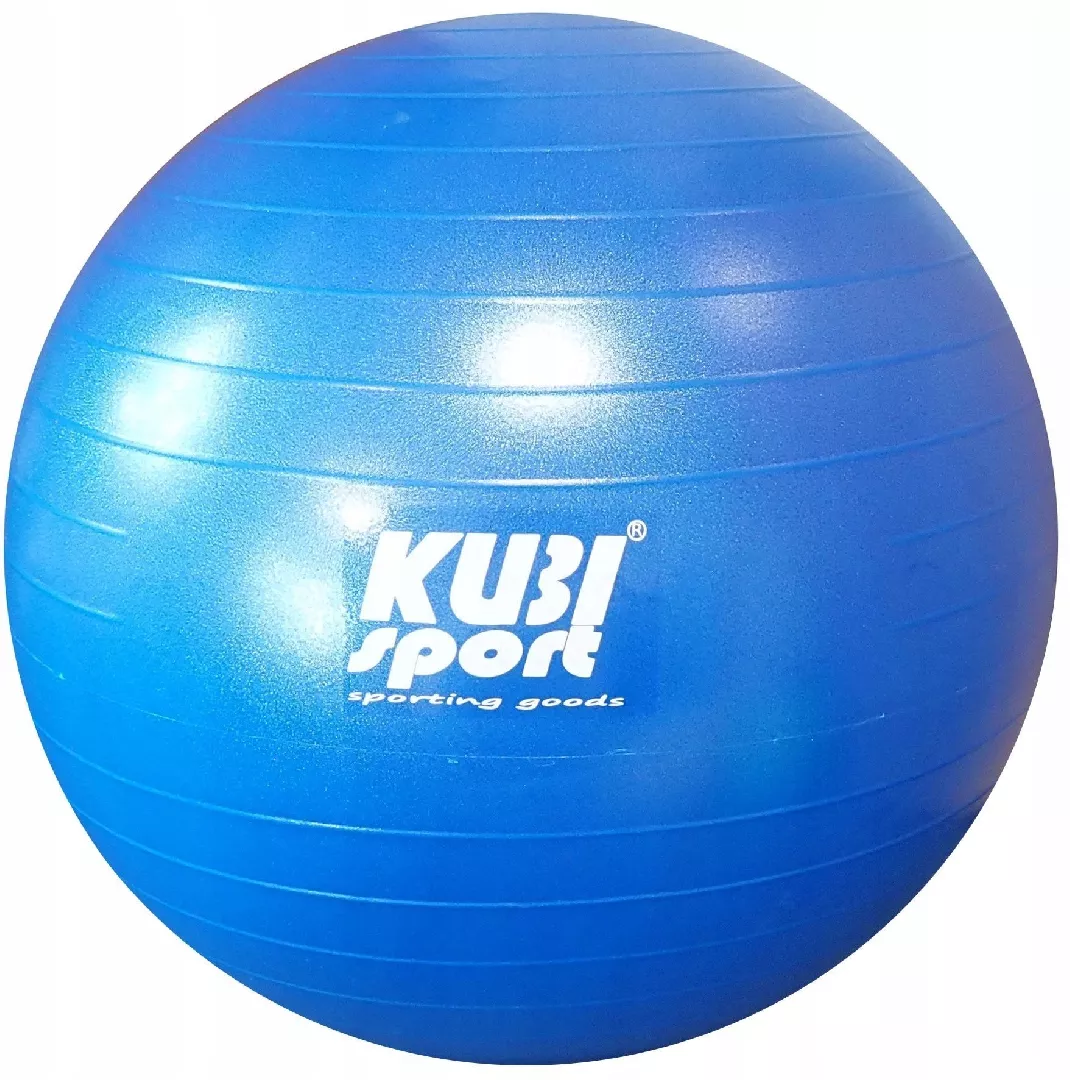 Inflatable Rehabilitation Gymnastics Ball for Exercise