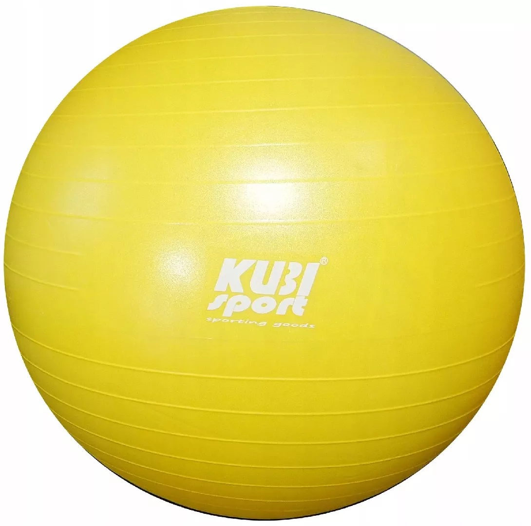 Inflatable Rehabilitation Gymnastics Ball for Exercise
